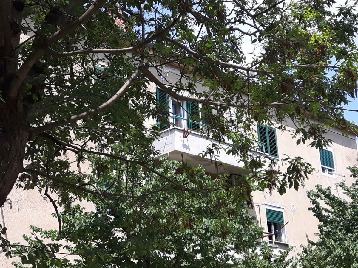 Apartment Sunny Place Zadar Buitenkant foto